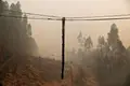 Centros de Saúde em Pedrógão continuam sem sistema informático quase um mês depois do fogo