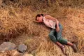 “Farpões Baldios”: um caso sério