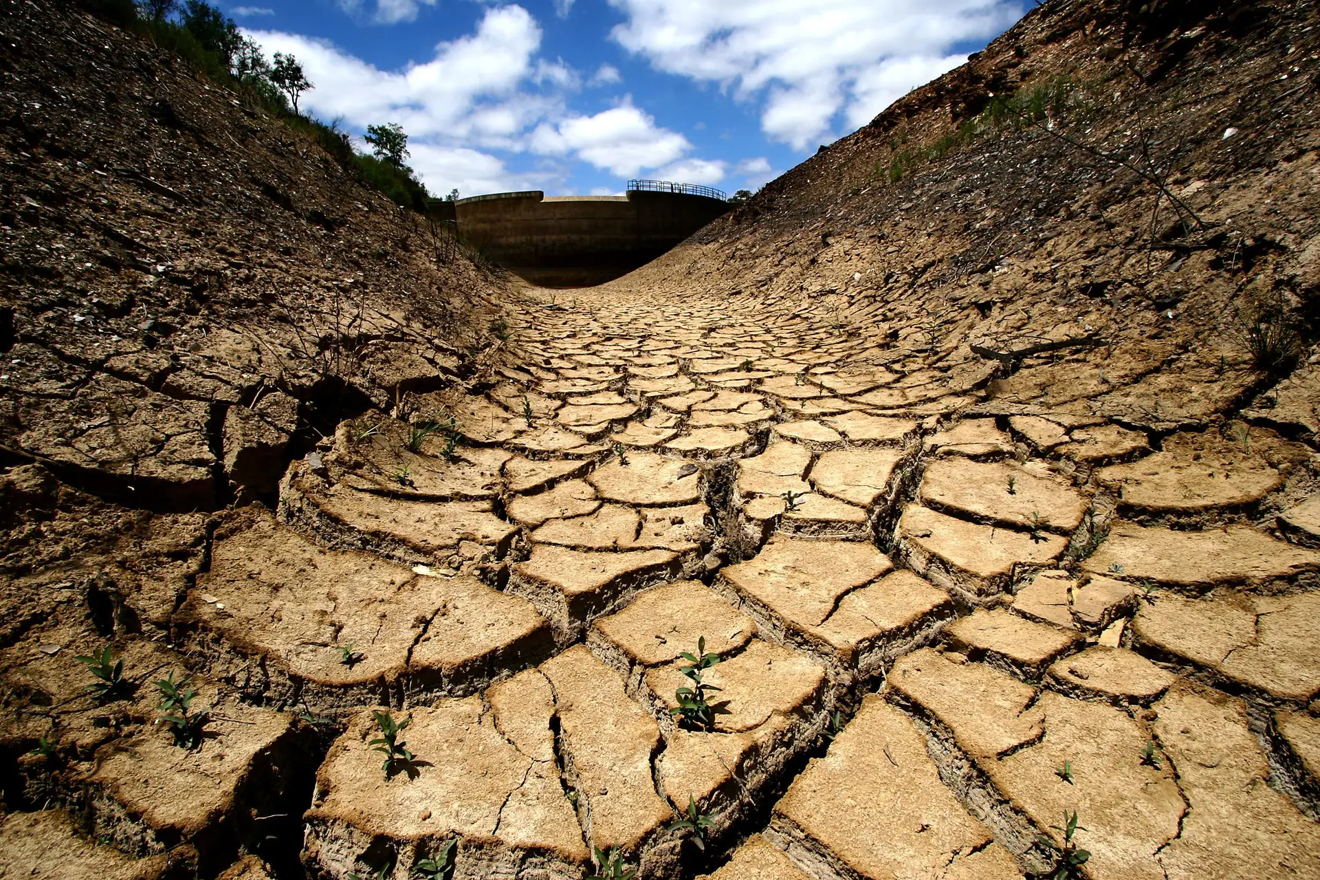 Algumas regiões do Baixo Alentejo e Algarve em seca severa - Expresso