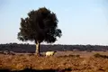 O que acontece em Portugal