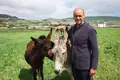 Nos Açores, o leite não é só de vaca. Também é de burra