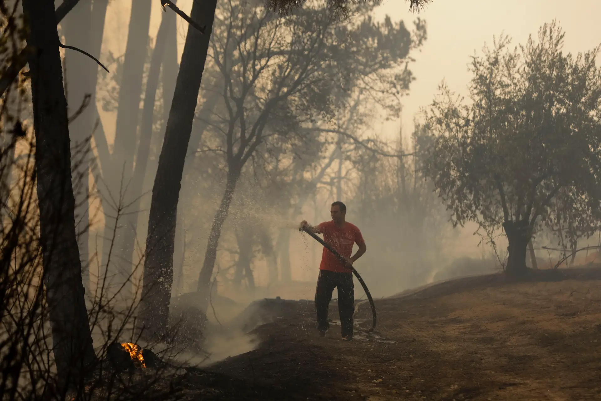Elevados prejuízos com incêndio em Parada do Pinhão, Sabrosa