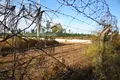 Relatório explosivo sobre Tancos arrasa poder político e militar