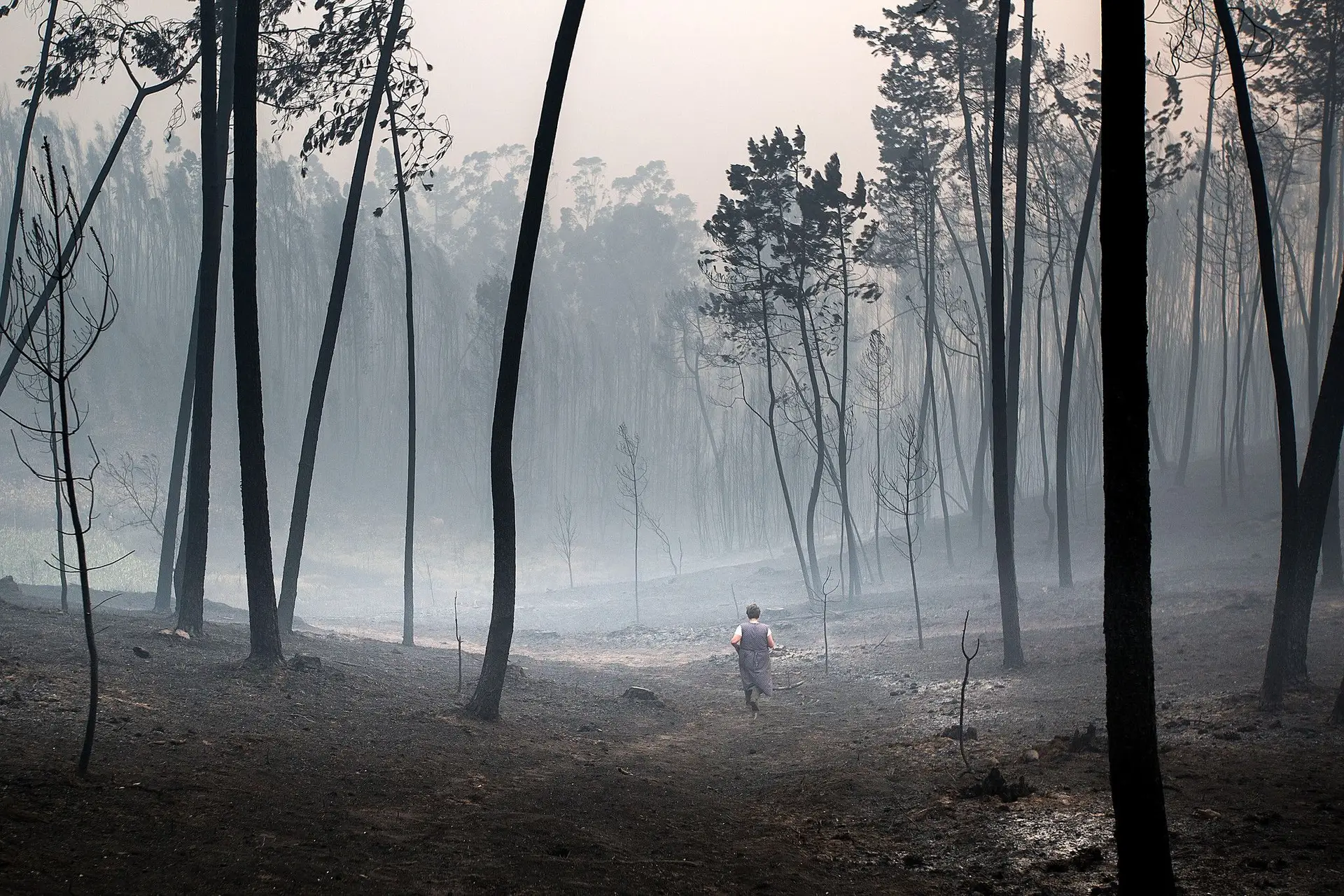 Comissão de Proteção de Dados veta divulgação integral de capítulo oculto sobre Pedrógão