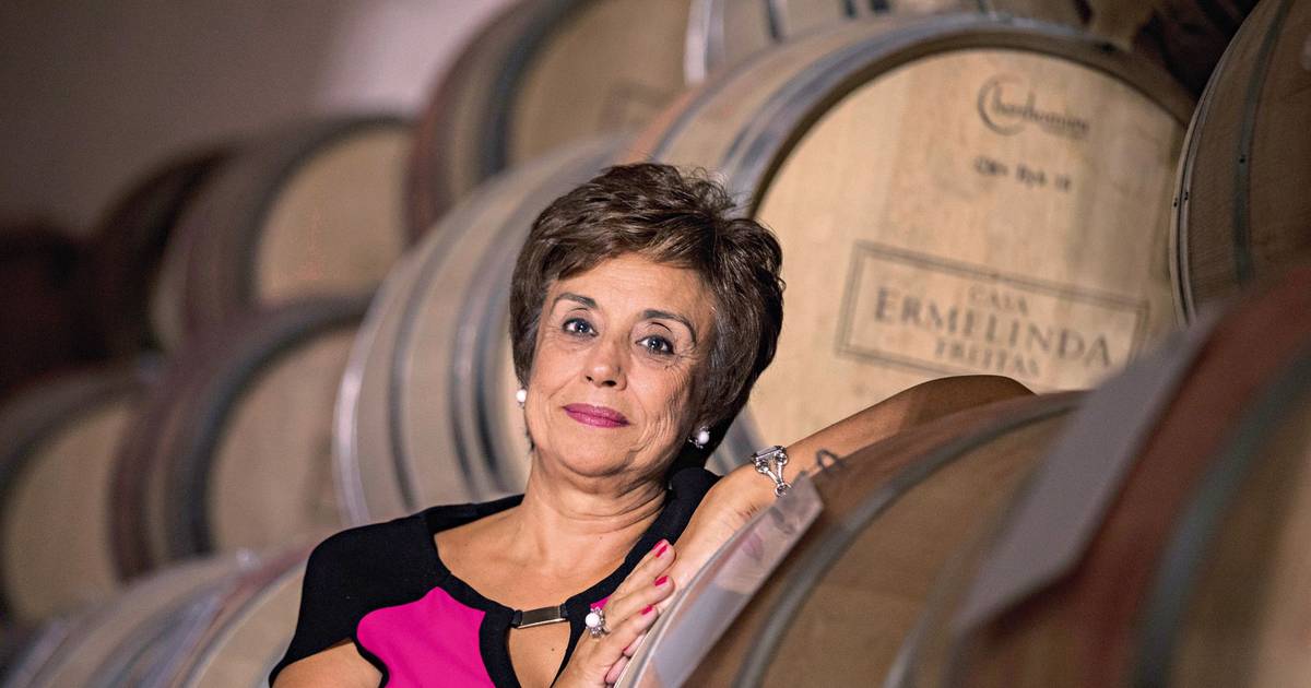 Casa Ermelinda Freitas condenada por irregularidades: "Houve um engano, mas também houve honestidade", diz Leonor Freitas