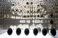 Odisseia pela (bio)diversidade museológica da Universidade do Porto