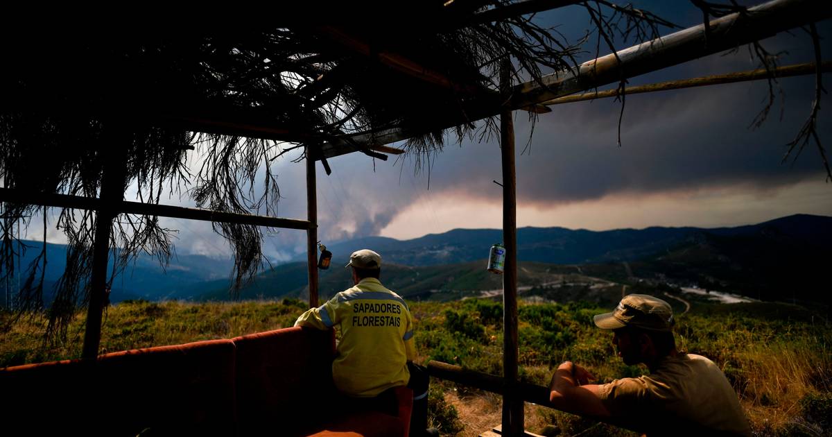 Incêndios: risco vai manter-se elevado em várias regiões até