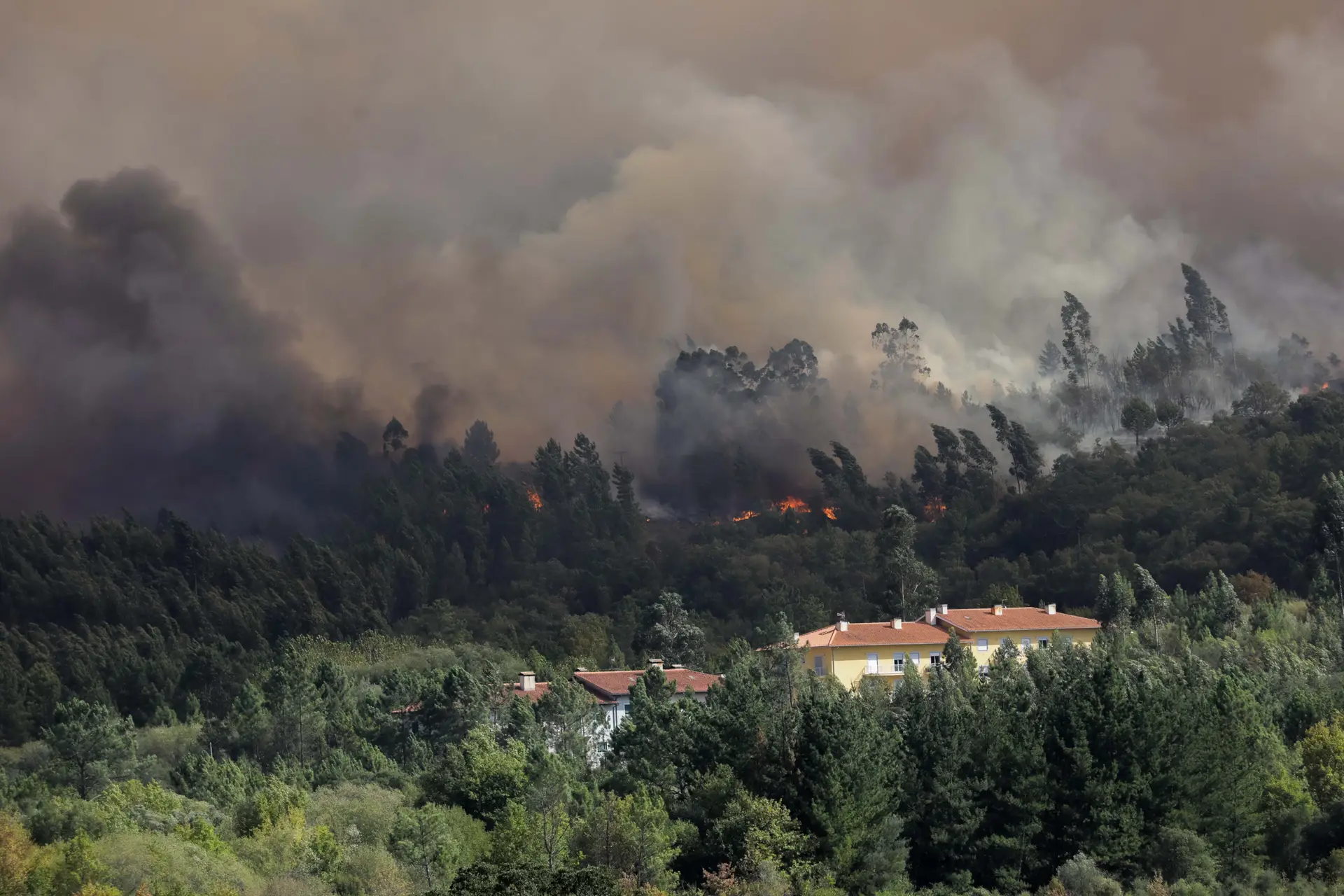 secret-rio-de-estado-aponta-origem-criminosa-nos-fogos-de-domingo