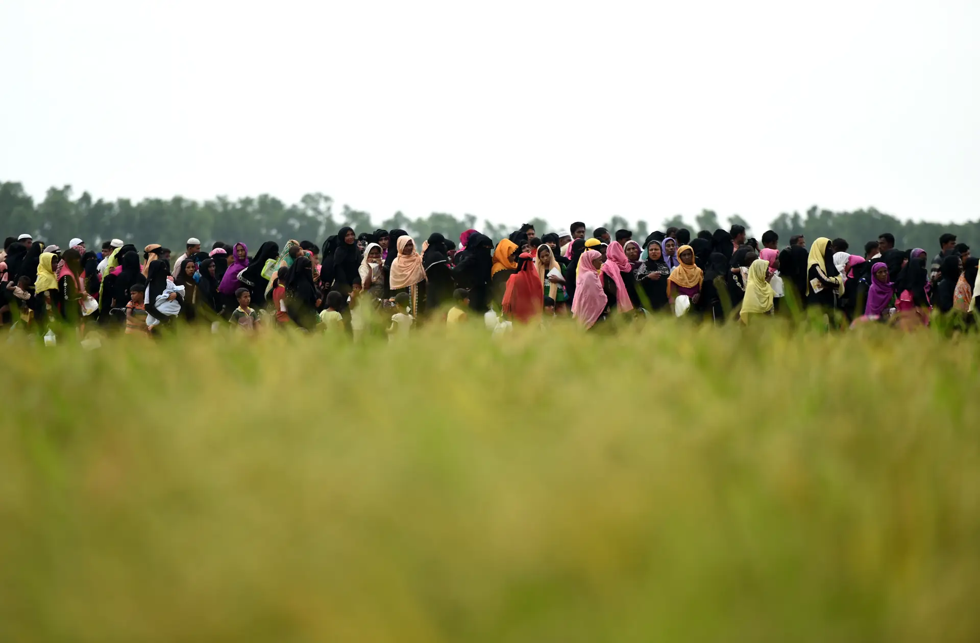 Médicos Sem Fronteiras denunciam violência sexual contra crianças rohingya