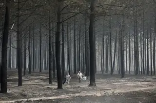 Incêndios: Ministério da Agricultura paga 13 milhões que faltavam