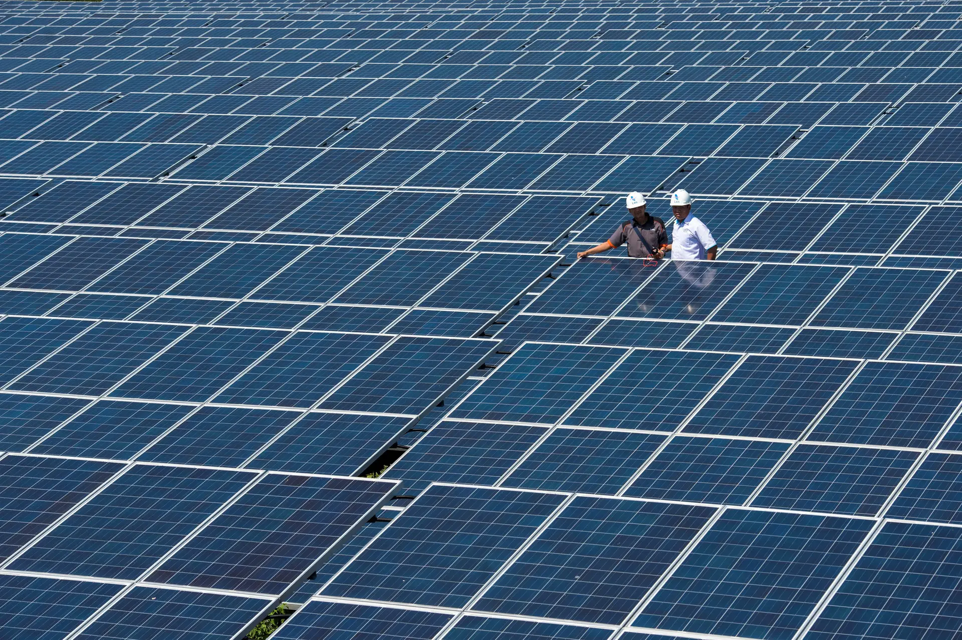 Criada a partir do grupo EDP, a Effizency recorre à IA para vender painéis solares e baterias e ganha agora mais acionistas