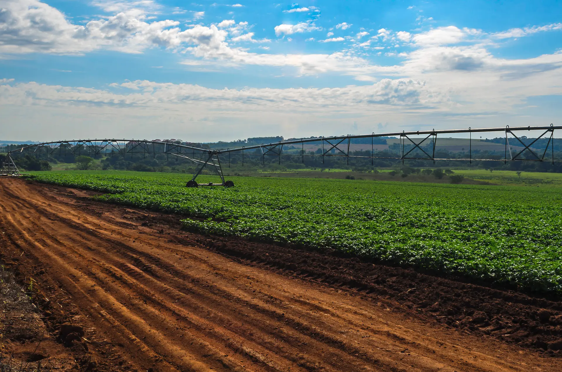 Agricultores querem renováveis para produzir mais barato