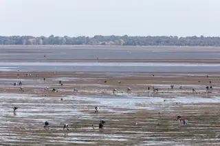 Os criminosos tem menos de um ano para explorar o rio. Segunda-feira é dia de Natal. Às primeiras horas da madrugada, o estuário vai encher-se de pontos luminosos, espécie de pirilampos espalhados ao acaso, concentrados nas imediações da Ponte Vasco da Gama