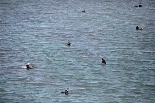 Escravos do rio: um trabalho premiado