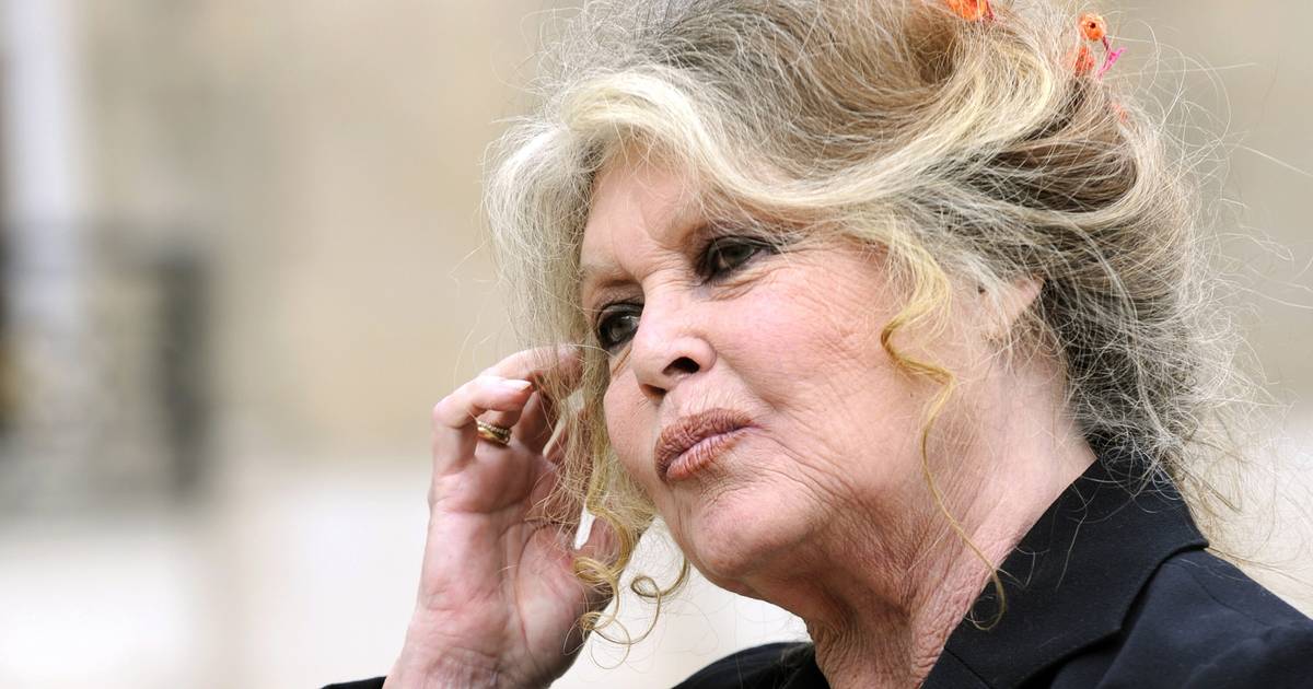 Brigitte Bardot está internada há três semanas, estado da atriz é considerado grave
