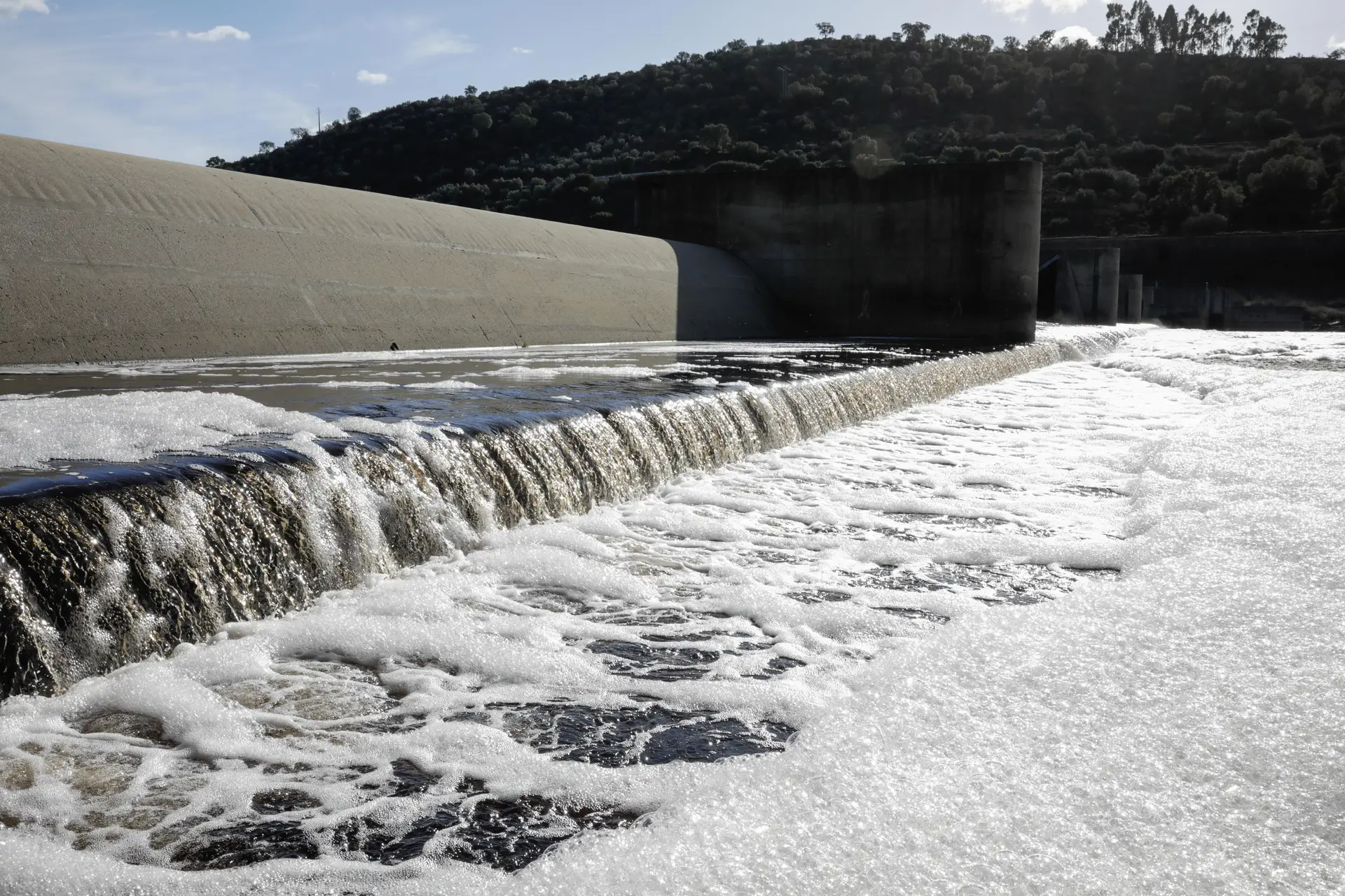 Um manto de espuma cobriu durante dias o rio Tejo, junto ao Açude de Abrantes, em 2018