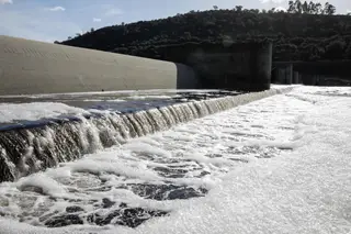 Celtejo apela à divulgação dos resultados das análises