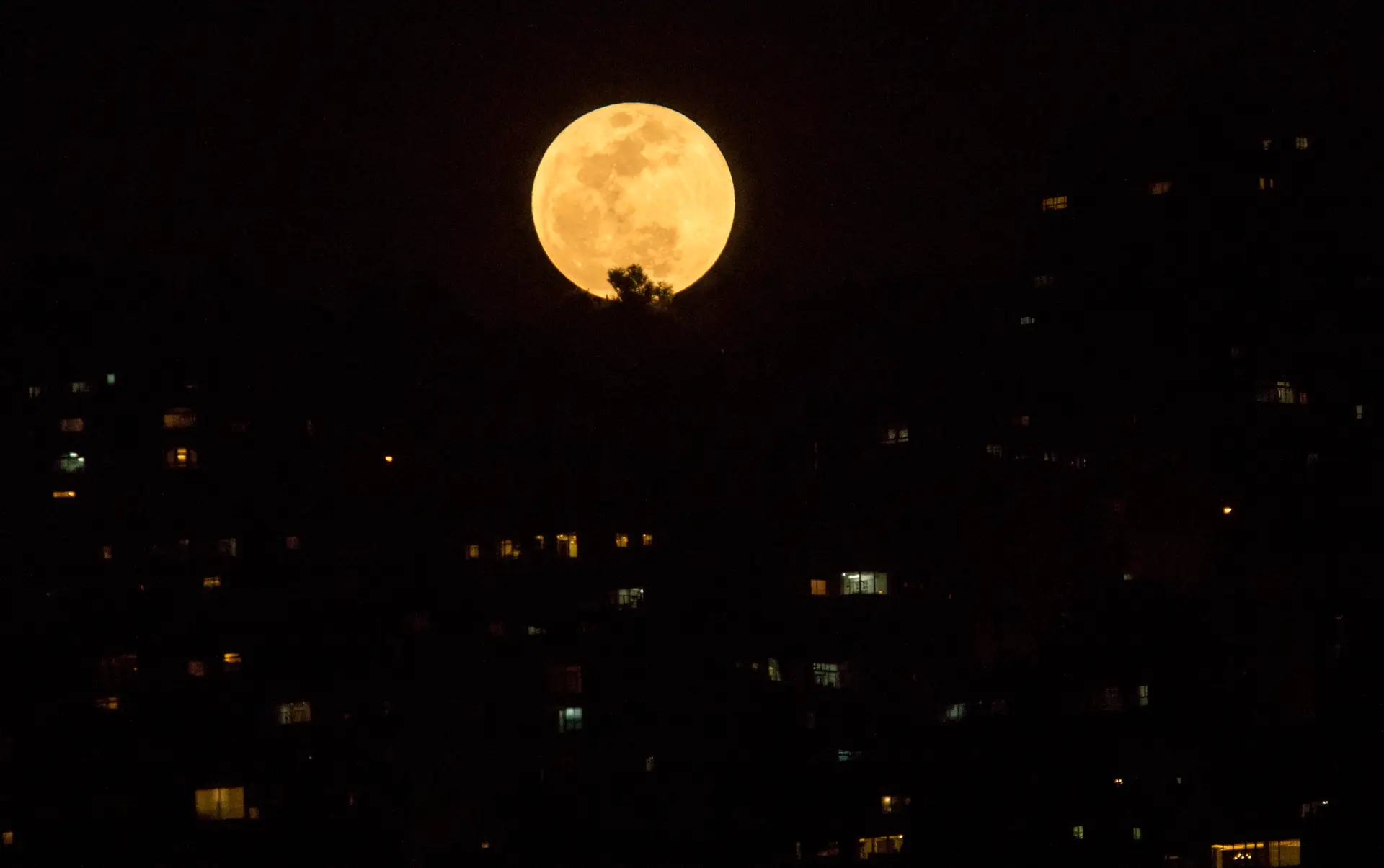 Superlua azul pode ser vista esta noite. Fenómeno raro também será visível  em Portugal