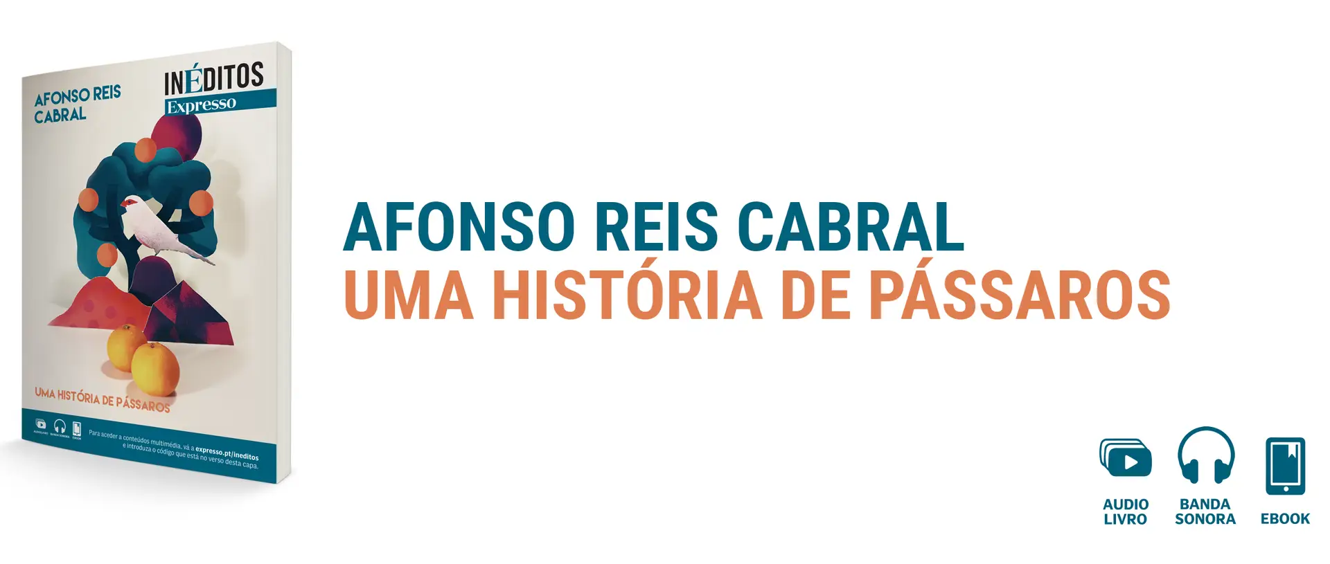 Afonso Reis Cabral | Uma História De Pássaros