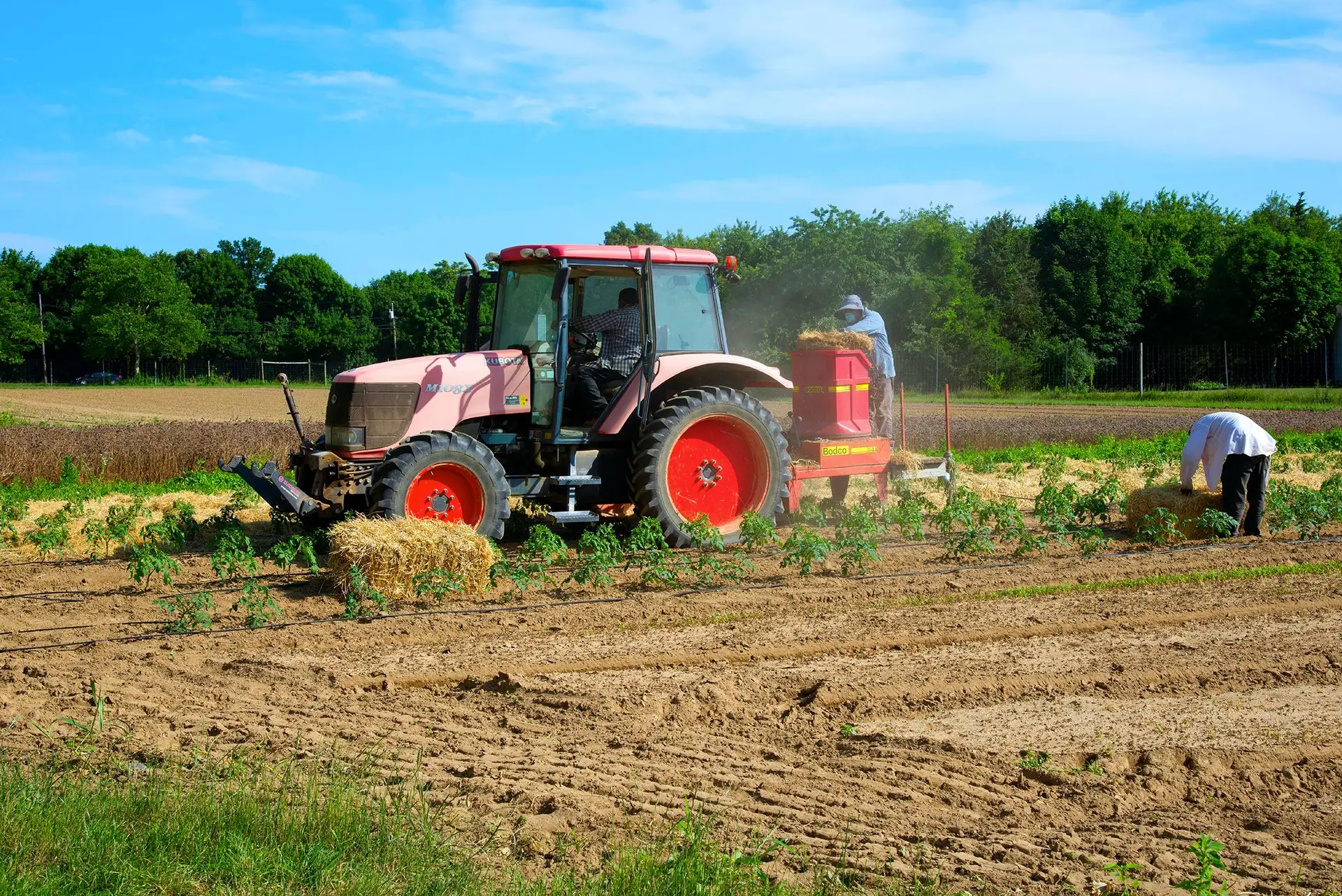 Apoio aos agricultures para subida de combustíveis custa 34,6 milhões de euros
