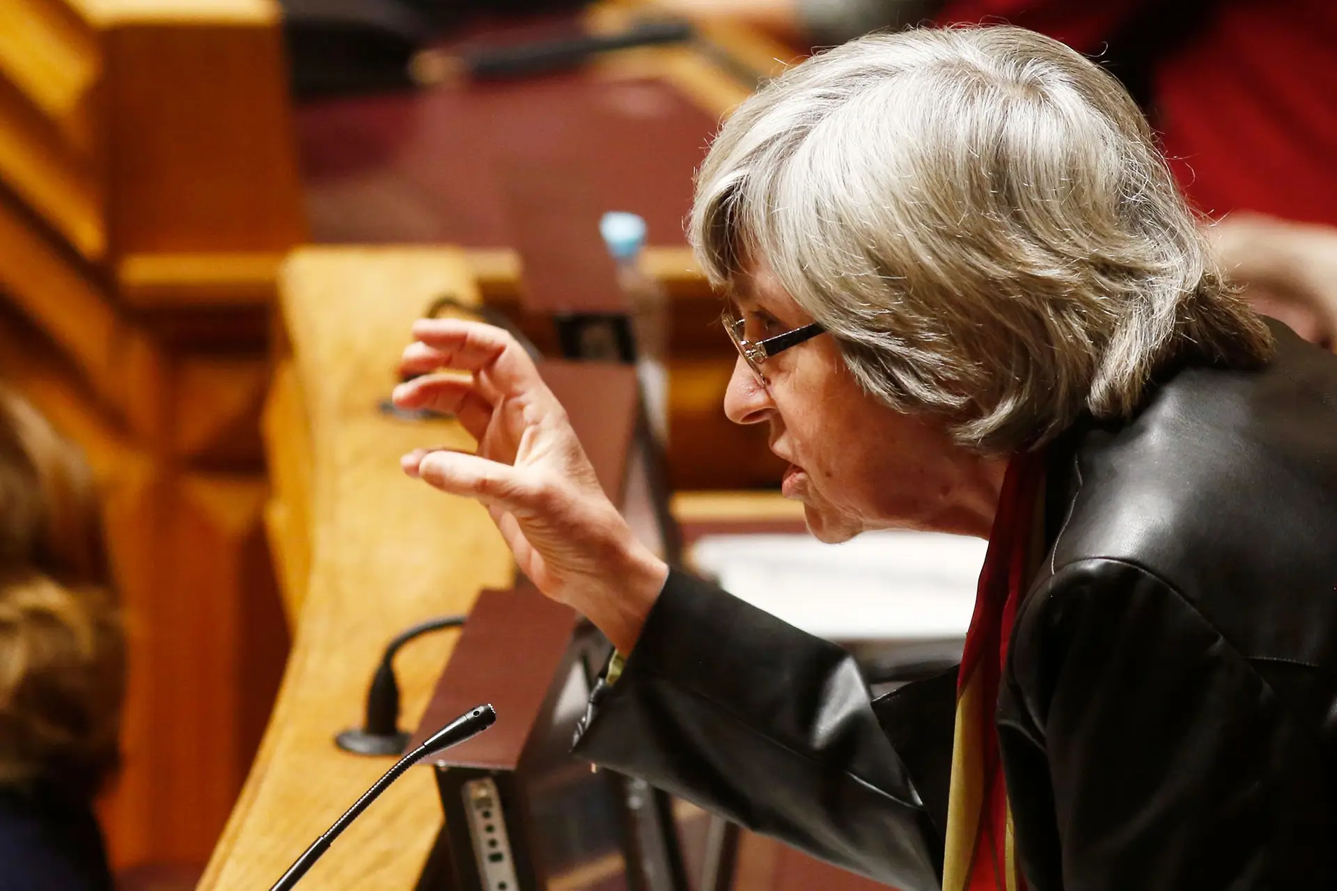 Financiamento partidário: deputados contestam regras que os seus partidos acabaram de aprovar