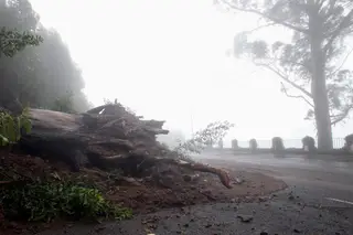 Madeira: as histórias de quem ficou sem casa