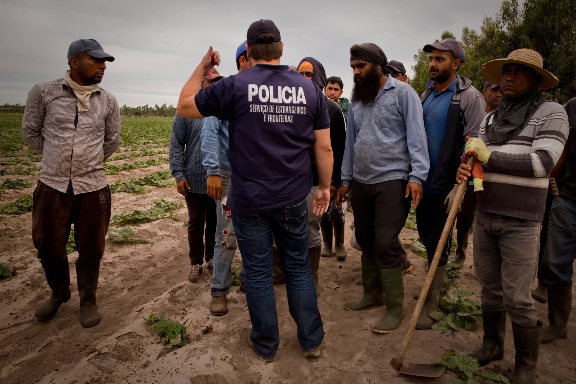 Maioria das vítimas de exploração laboral são homens que trabalham na agricultura, no Alentejo