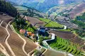 O Douro está a mudar na Quinta da Gaivosa