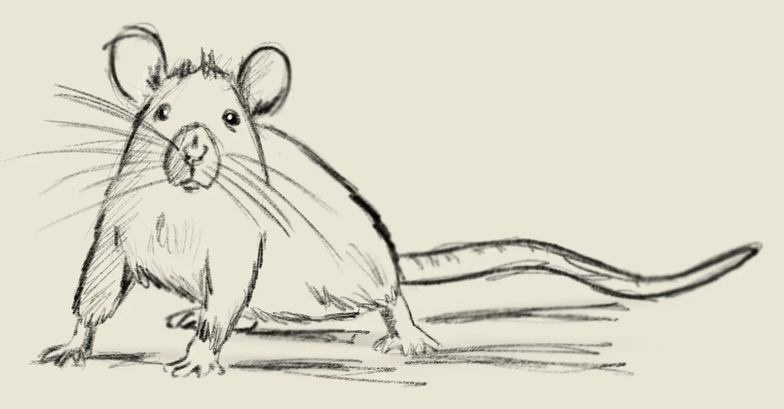 Luciano das ratas