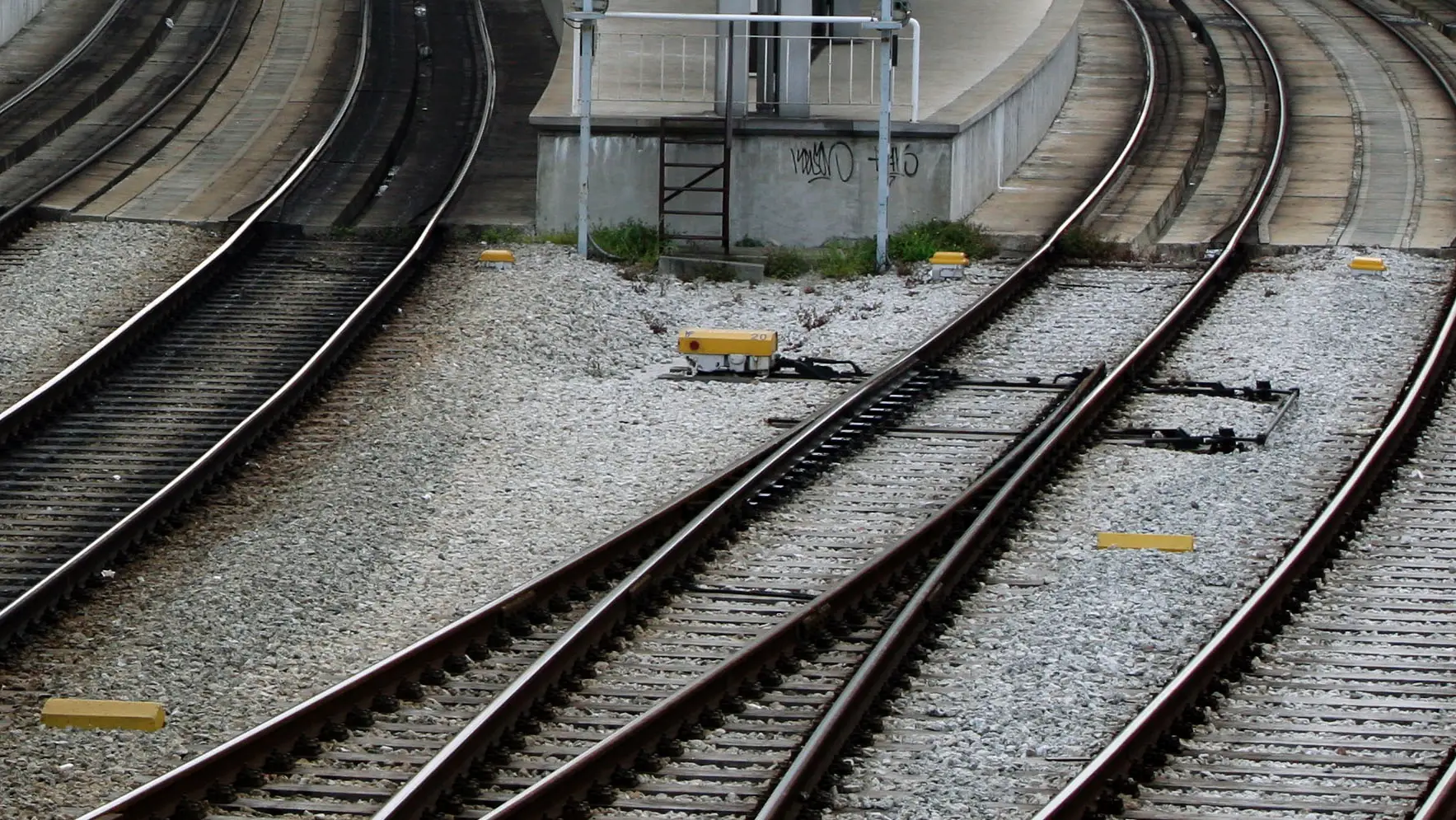 CP abre inquérito sobre comboio lotado que parou perto da estação de Benfica