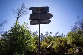 Pedrógão não gastou um cêntimo dos donativos