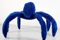 Arte de pôr cabelos em pé: há aranhas felpudas no museu