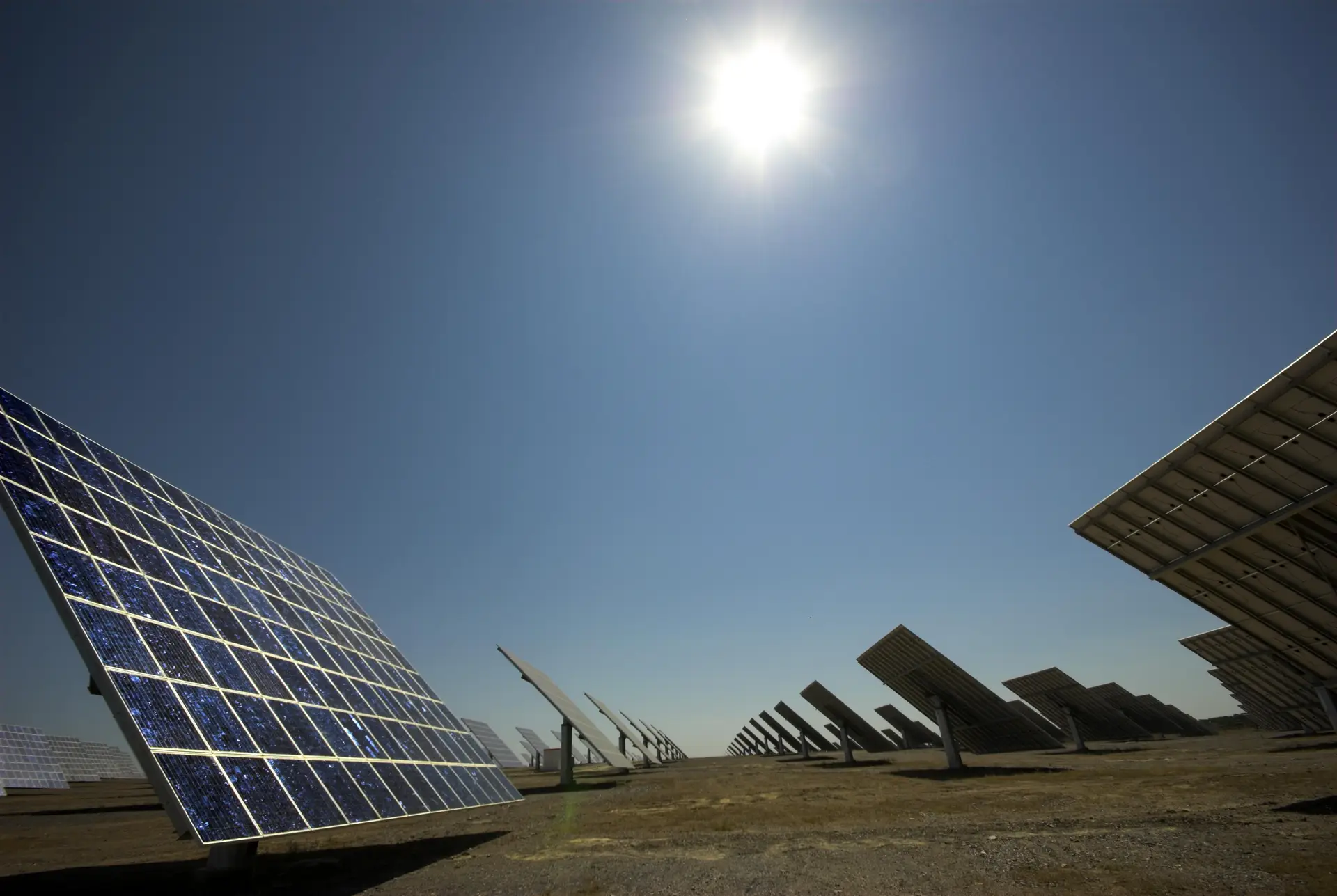 Hanwha Q Cells “limpa” leilão solar e fica com metade dos projetos