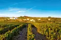 Breve viagem aos vinhos de Portugal