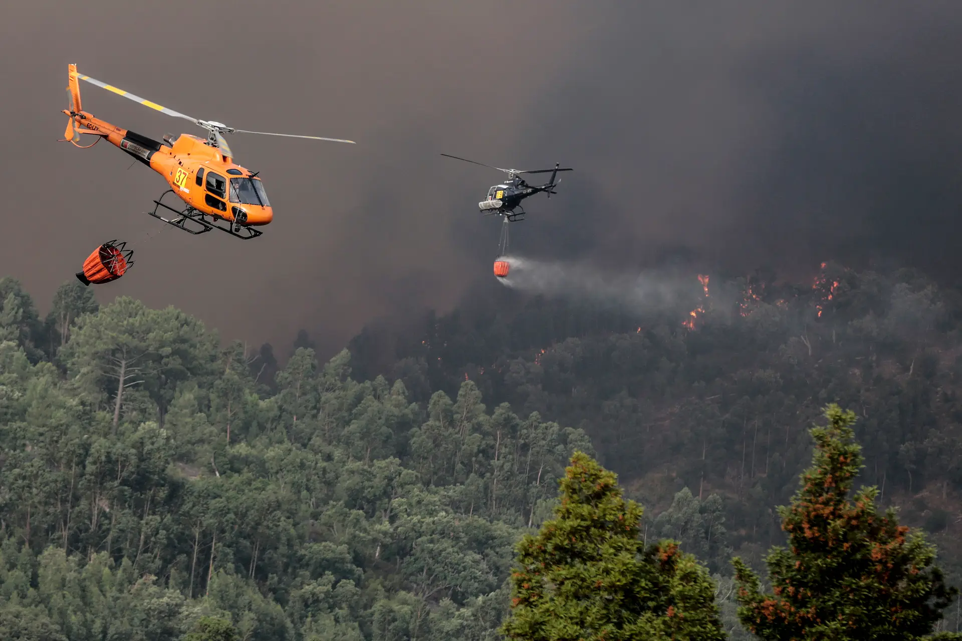 Chamas progridem em direção a Monchique. “Daqui da vila só vemos o fumo e ouvimos os helicópteros”