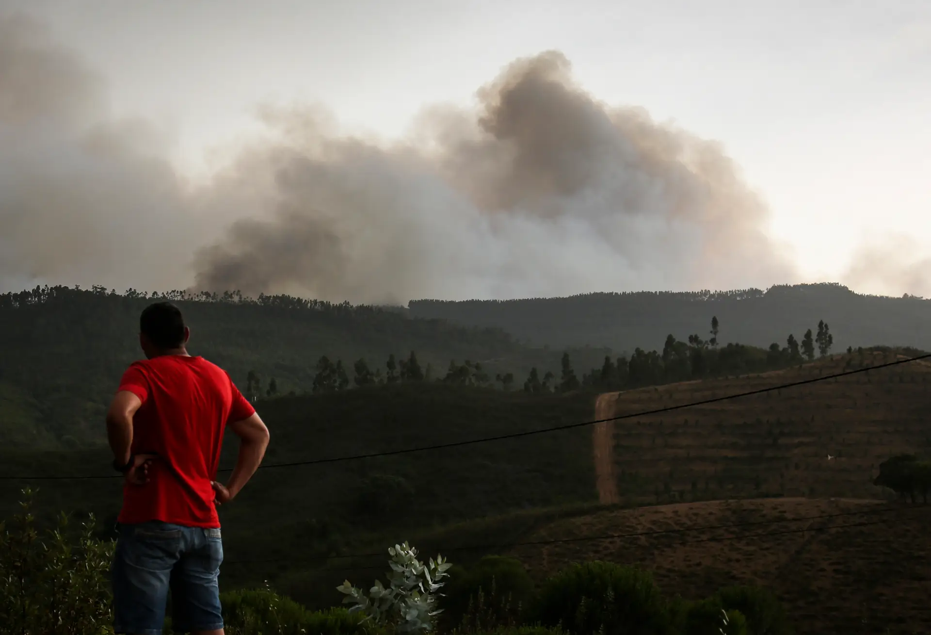 Incêndio de Monchique quase totalmente dominado. Autoridades fazem levantamento sobre edificado ardido