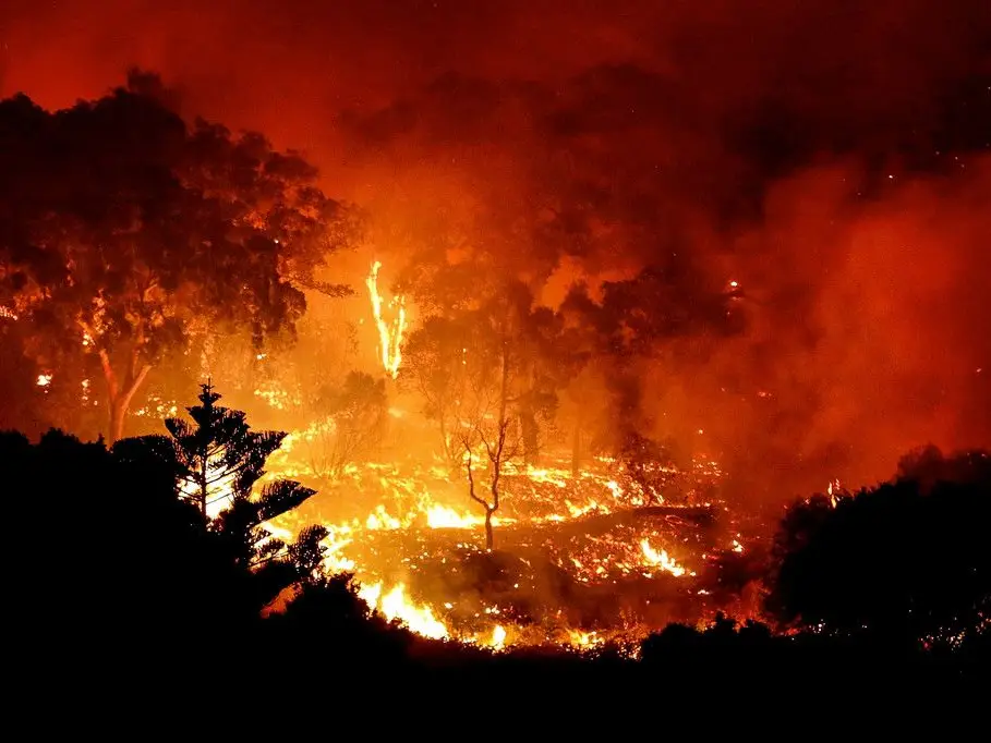 Proximos Dias Vao Ser De Elevado Risco De Incendio Florestal Expresso