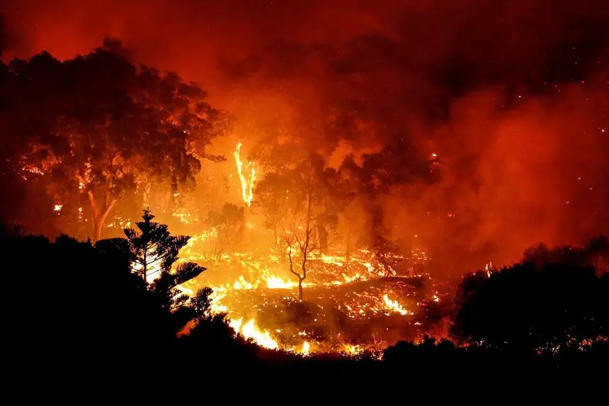 Expresso | Incêndios. "Ainda não existe um sistema para se ...