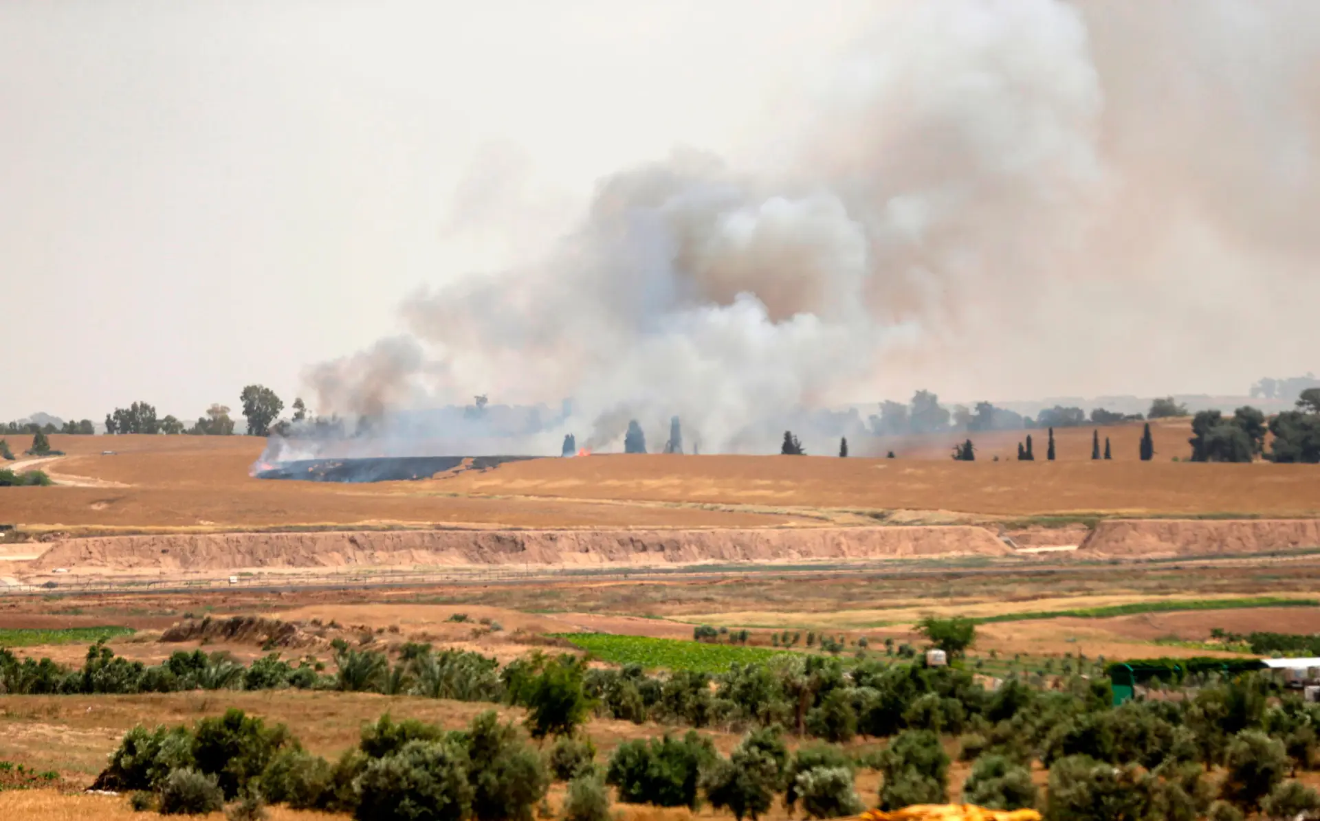 Dois palestinianos mortos e 60 feridos pelas forças de Israel em ...