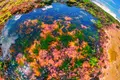 Mistério da biodiversidade desvendado por cientistas da Fundação Champalimaud