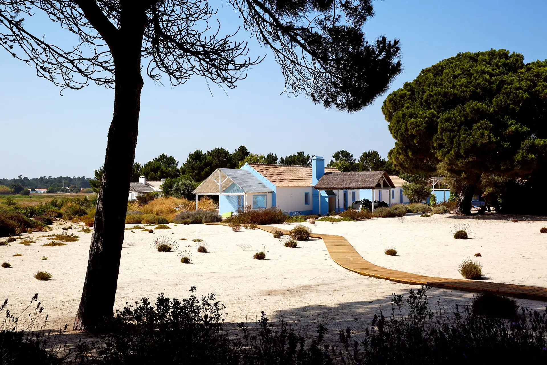 A posição da antiga empresa do Grupo Espírito Santo Rioforte no fundo imobiliário da Comporta é um dos arrestos.