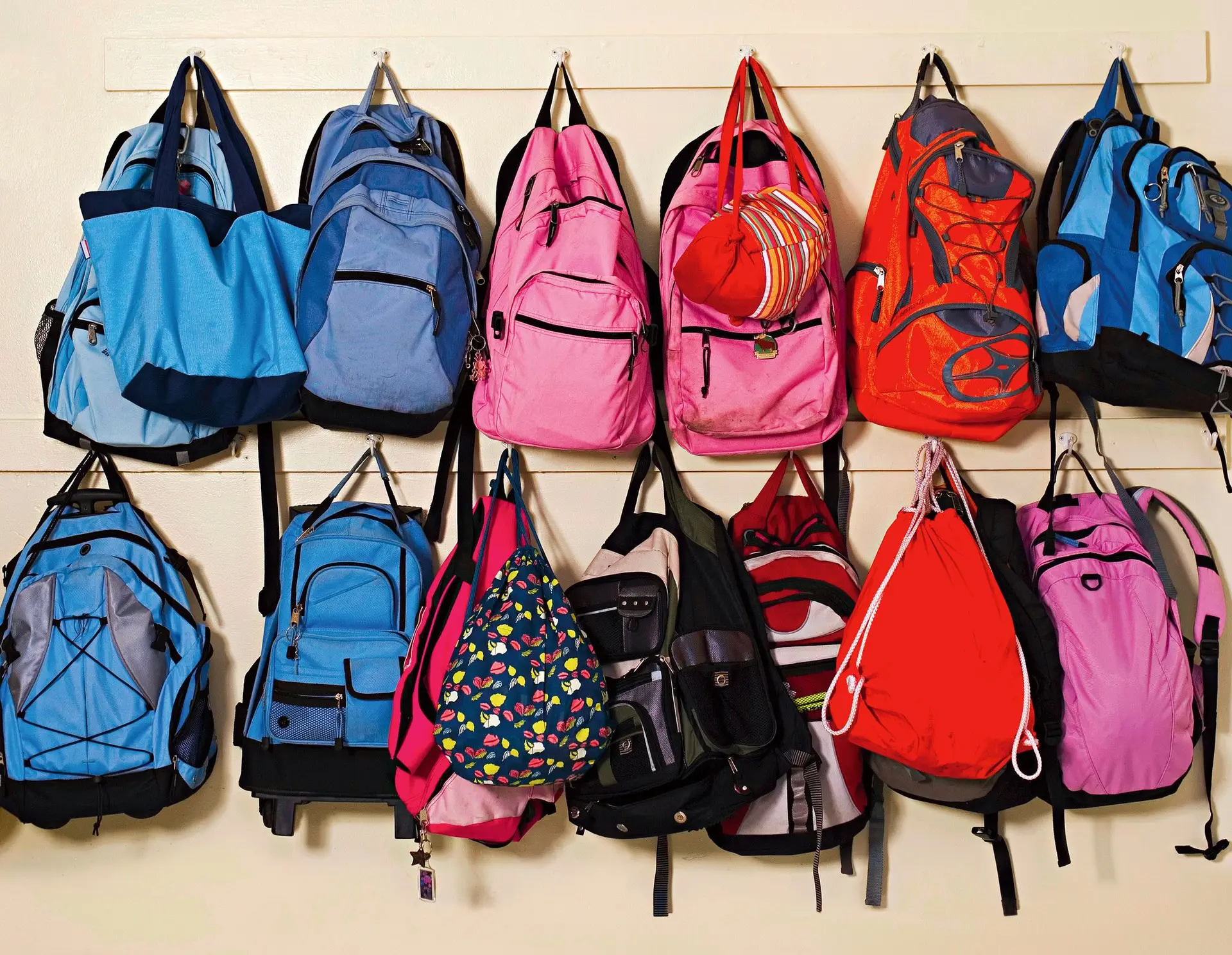 menino, pequeno, conceito, livros, mochila, escola, costas, menina menino, pequeno, conceito, livros, mochila, escola, costas, menina