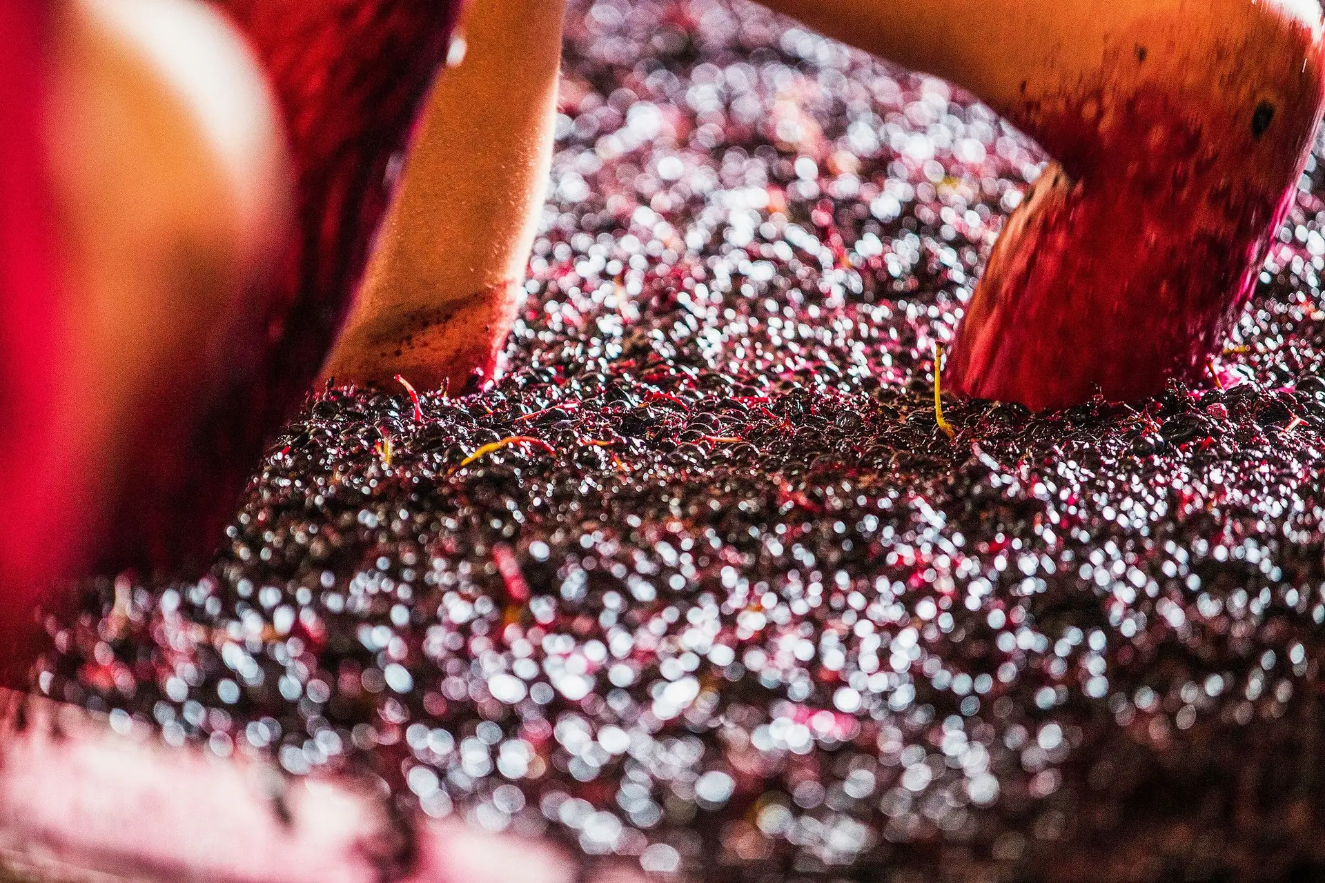 Vinho. Exportações começaram o ano a crescer 2%