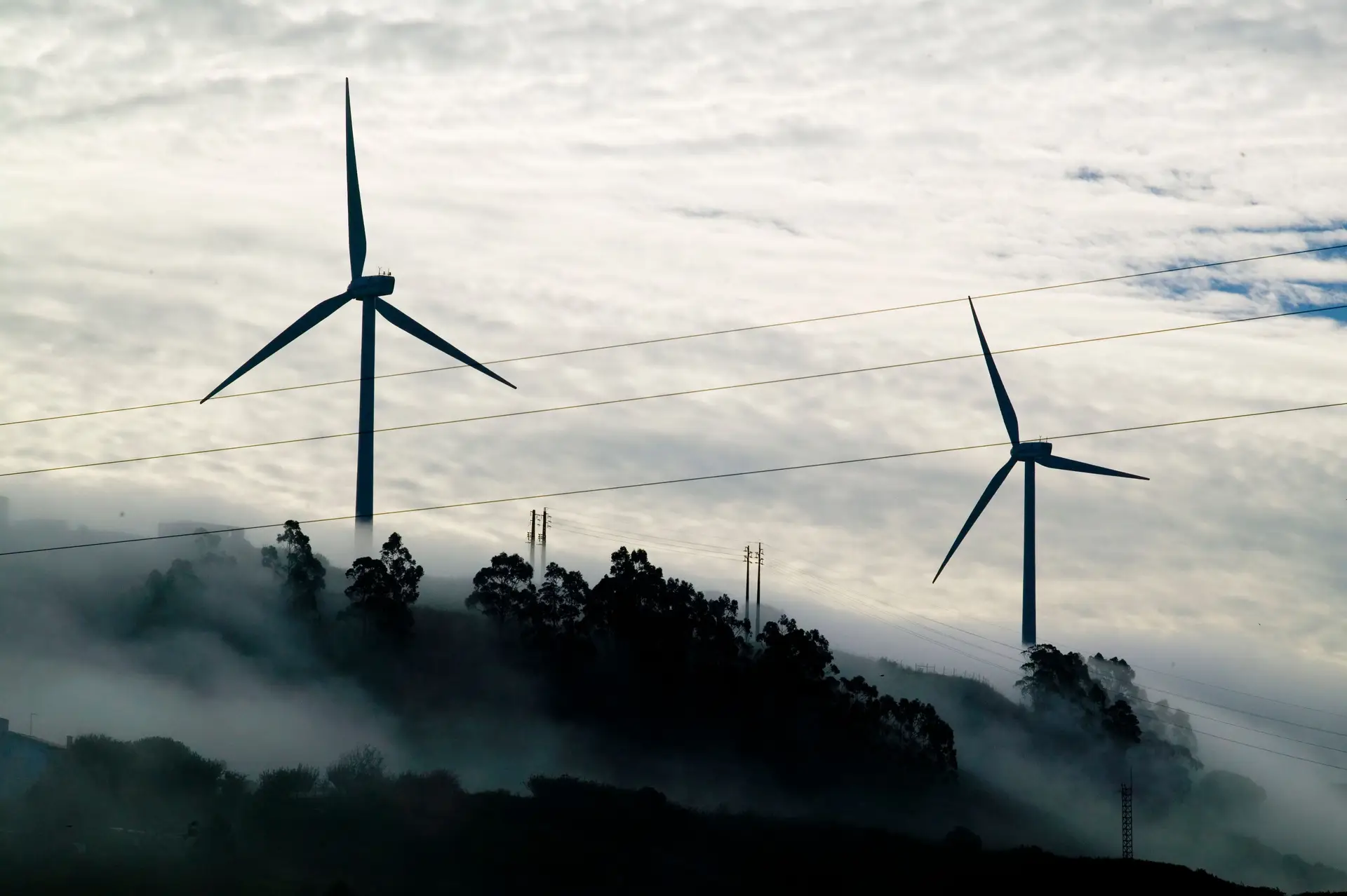 Em março de 2020 Portugal tinha 2801 torres eólicas em operação, espalhadas por 261 localizações e com uma capacidade total de 5437 MW.
