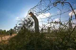 Suspeitos de Tancos só vão ser ouvidos na terça-feira