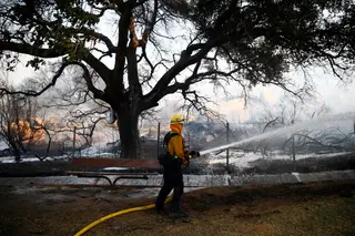 Neil Young critica Trump por causa de incêndios na Califórnia