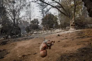 Histórias de salvação e de angústia pelos desaparecidos no maior incêndio da Califórnia