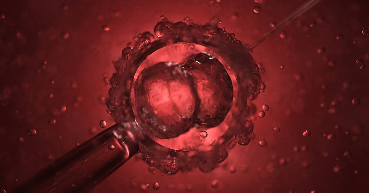 Embriões artificiais podem ser uma realidade no futuro: é preciso “regular” agora para evitar trazer ao mundo “crianças sem pais”