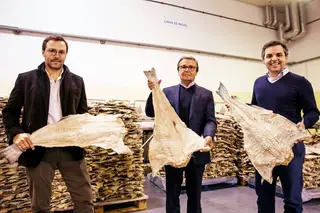Bacalhau: um vício de €400 milhões