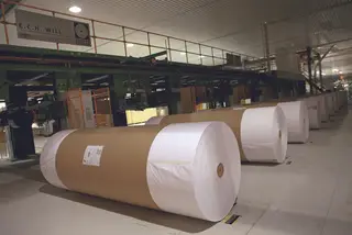 Whistleblowing: Cotadas cumprem os mínimos na denúncia de irregularidades internas